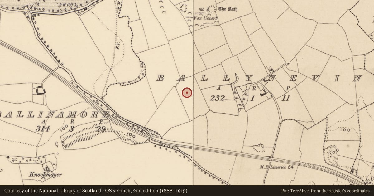 Ordnance Survey six-inch map, 2nd edition (1888–1915) covering the location of Enclosure, Ballynevin, County Tipperary South, with a pin at the register's coordinates