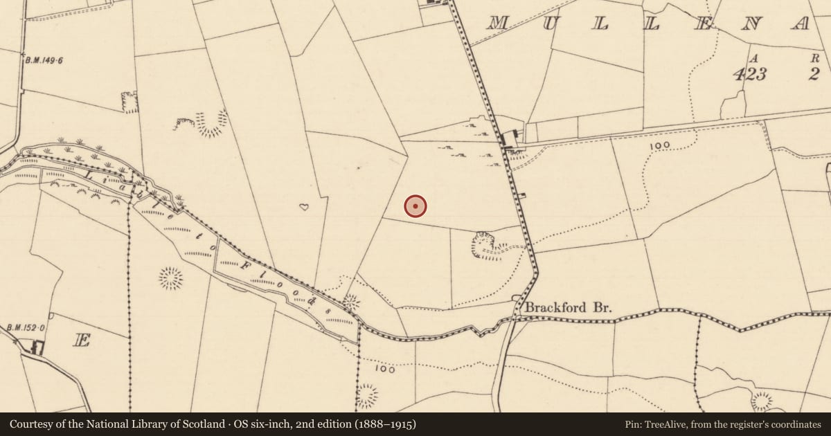 Ordnance Survey six-inch map, 2nd edition (1888–1915) covering the location of Enclosure, Kilmore (Lisronagh Par.), County Tipperary South, with a pin at the register's coordinates