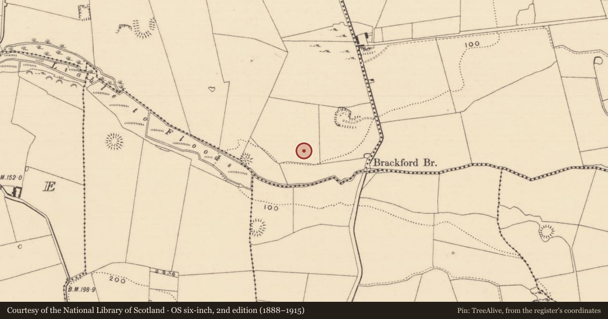 Ordnance Survey six-inch map, 2nd edition (1888–1915) covering the location of Enclosure, Kilmore (Lisronagh Par.), County Tipperary South, with a pin at the register's coordinates