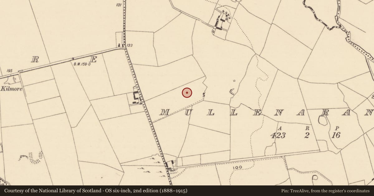 Ordnance Survey six-inch map, 2nd edition (1888–1915) covering the location of Enclosure, Mullenaranky, County Tipperary South, with a pin at the register's coordinates