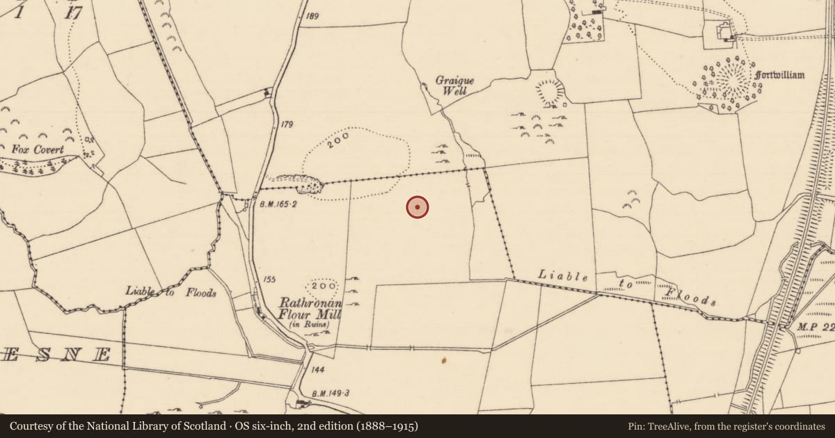 Ordnance Survey six-inch map, 2nd edition (1888–1915) covering the location of Enclosure, Rathronan, County Tipperary South, with a pin at the register's coordinates