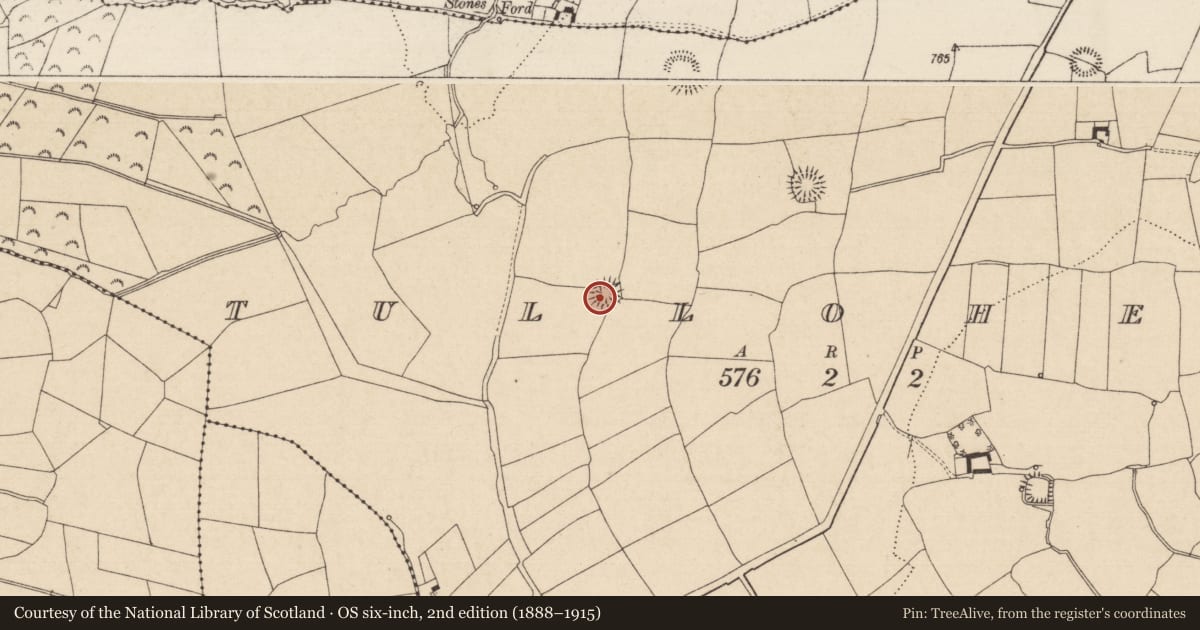 Ordnance Survey six-inch map, 2nd edition (1888–1915) covering the location of Enclosure, Tullohea, County Tipperary South, with a pin at the register's coordinates