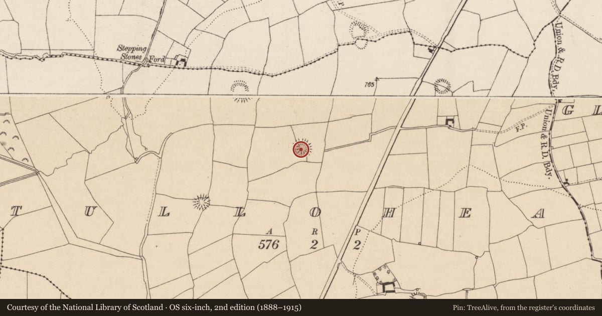 Ordnance Survey six-inch map, 2nd edition (1888–1915) covering the location of Ringfort - rath, Tullohea, County Tipperary South, with a pin at the register's coordinates
