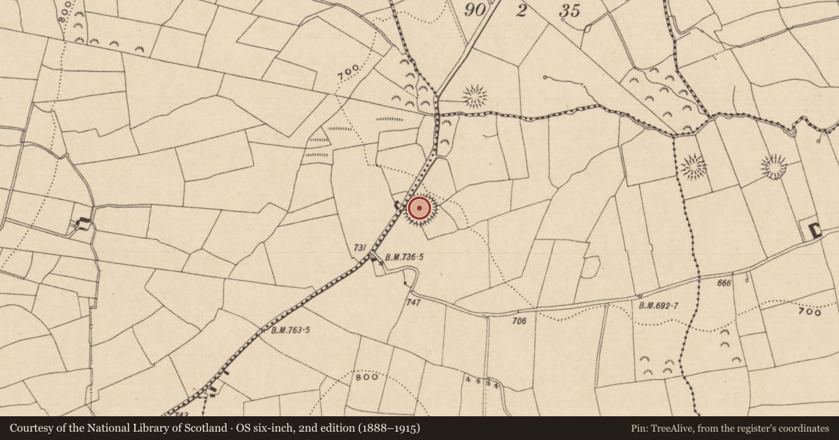 Ordnance Survey six-inch map, 2nd edition (1888–1915) covering the location of Ringfort - rath, Carrigaloe, County Tipperary South, with a pin at the register's coordinates
