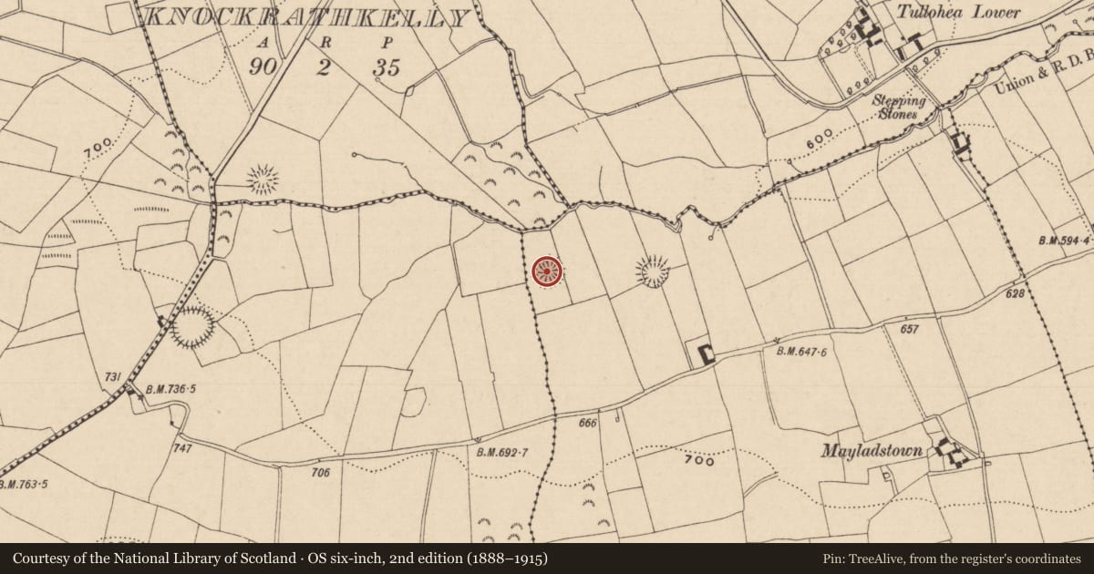 Ordnance Survey six-inch map, 2nd edition (1888–1915) covering the location of Enclosure, Mayladstown, County Tipperary South, with a pin at the register's coordinates