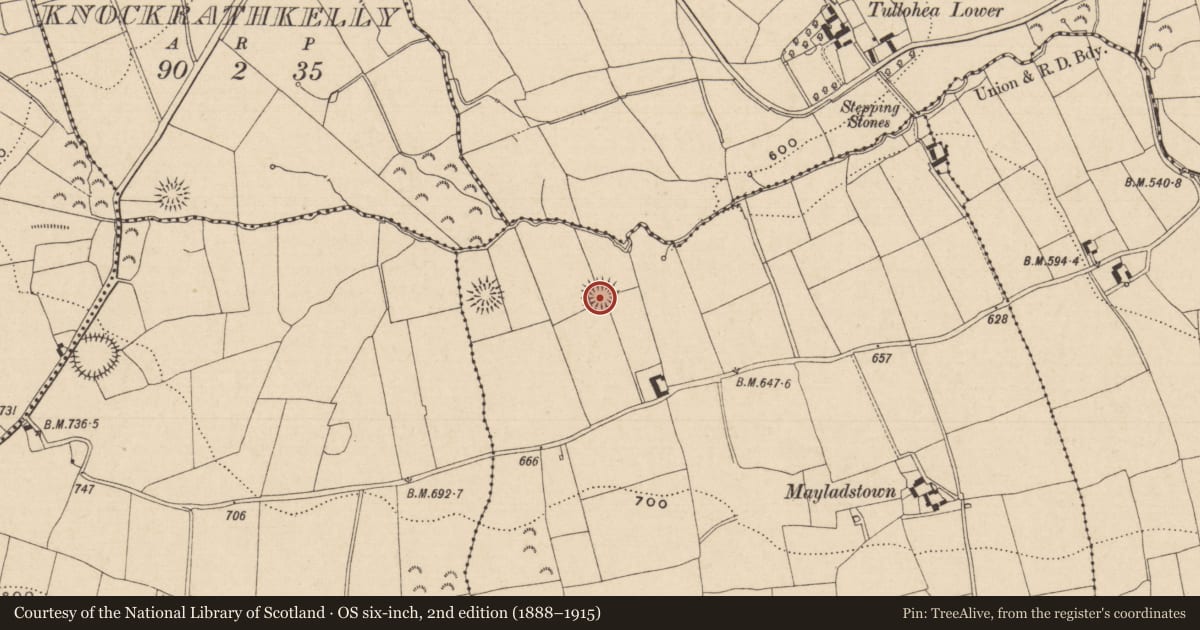 Ordnance Survey six-inch map, 2nd edition (1888–1915) covering the location of Enclosure, Mayladstown, County Tipperary South, with a pin at the register's coordinates