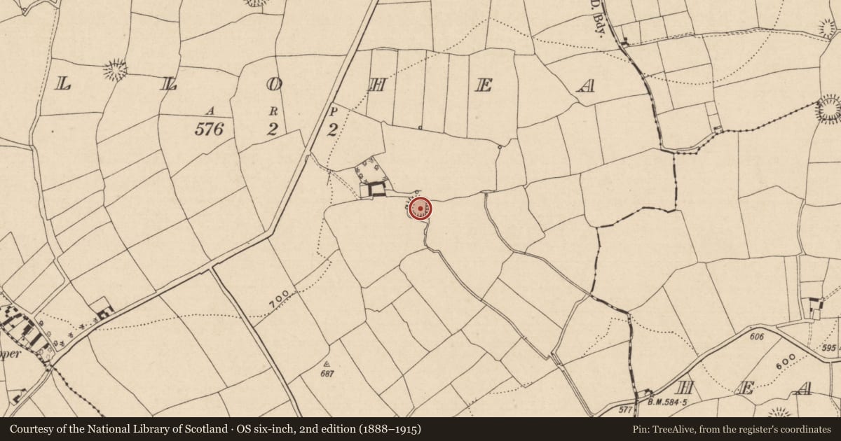 Ordnance Survey six-inch map, 2nd edition (1888–1915) covering the location of Moated site, Tullohea, County Tipperary South, with a pin at the register's coordinates