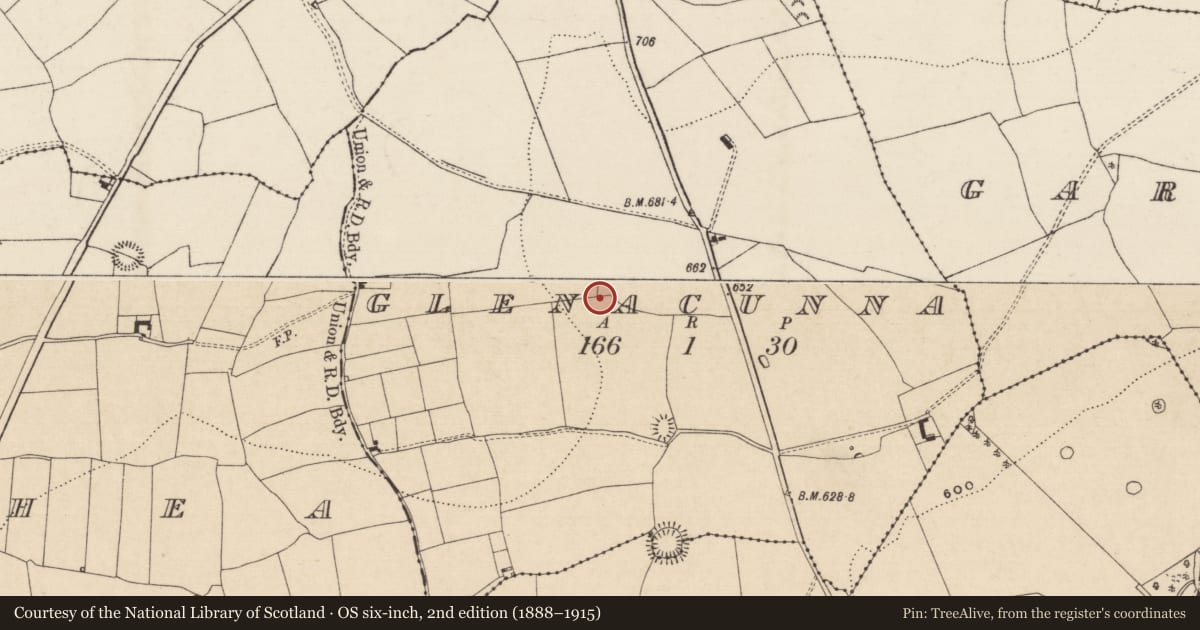 Ordnance Survey six-inch map, 2nd edition (1888–1915) covering the location of Cist, Glenacunna (Garrangibbon Par.), County Tipperary South, with a pin at the register's coordinates