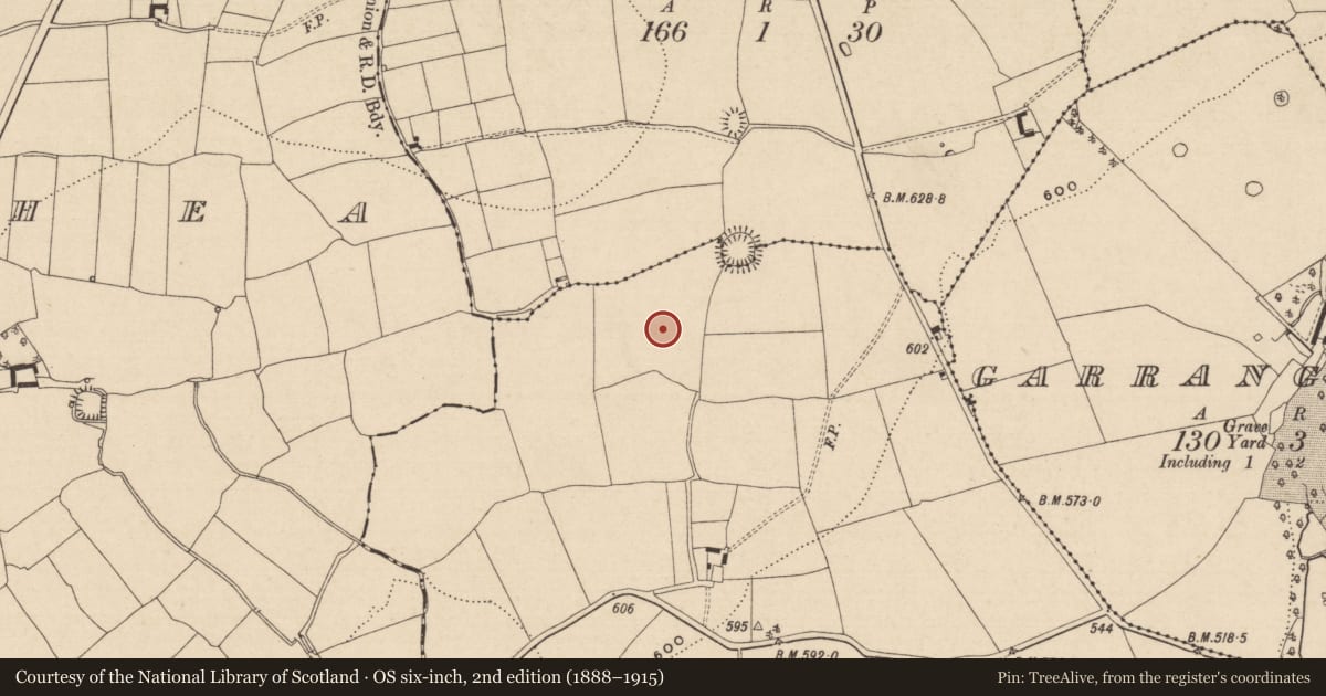Ordnance Survey six-inch map, 2nd edition (1888–1915) covering the location of Moated site, Heathview, County Tipperary South, with a pin at the register's coordinates