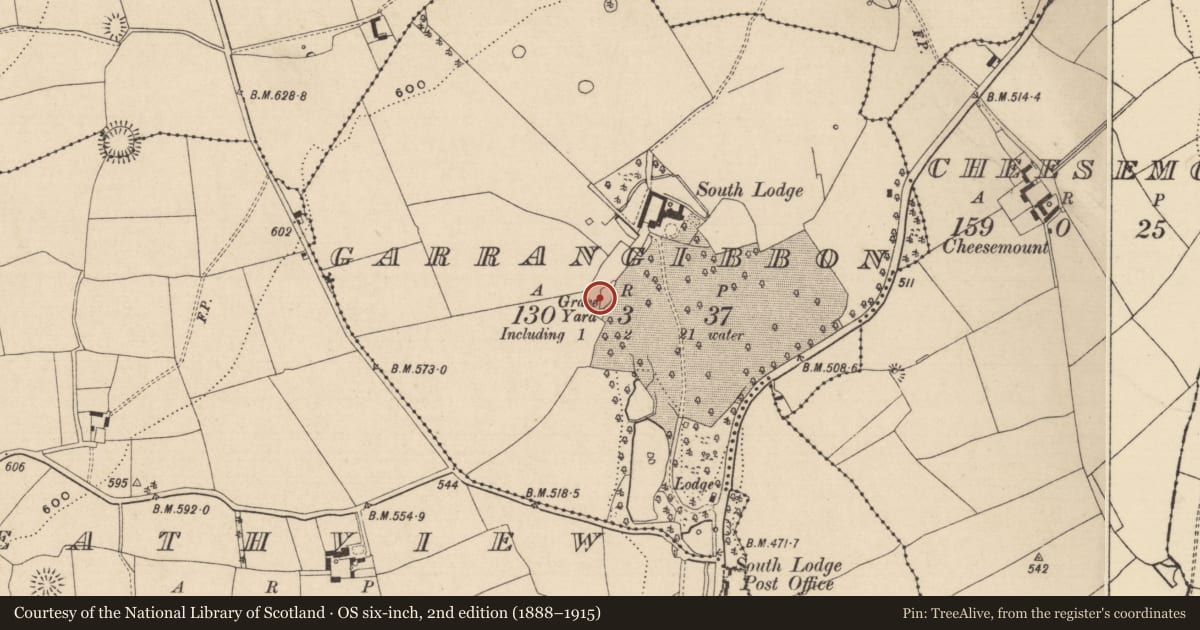 Ordnance Survey six-inch map, 2nd edition (1888–1915) covering the location of Graveyard, Garrangibbon, County Tipperary South, with a pin at the register's coordinates