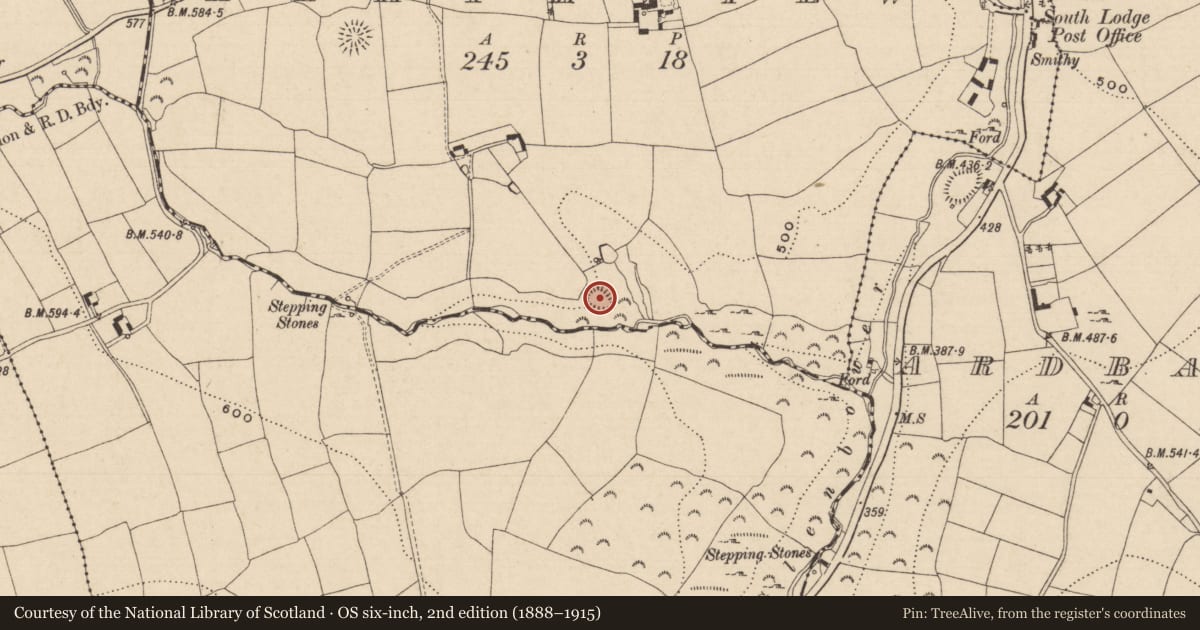 Ordnance Survey six-inch map, 2nd edition (1888–1915) covering the location of Castle - ringwork, Heathview, County Tipperary South, with a pin at the register's coordinates