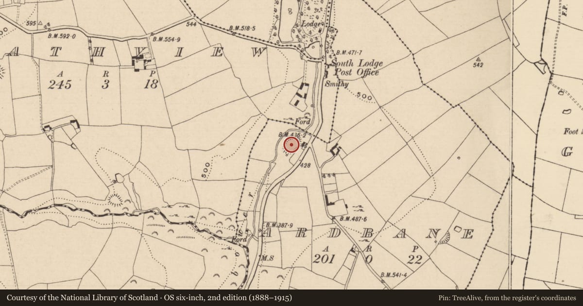 Ordnance Survey six-inch map, 2nd edition (1888–1915) covering the location of Castle - ringwork, Ardbane, County Tipperary South, with a pin at the register's coordinates