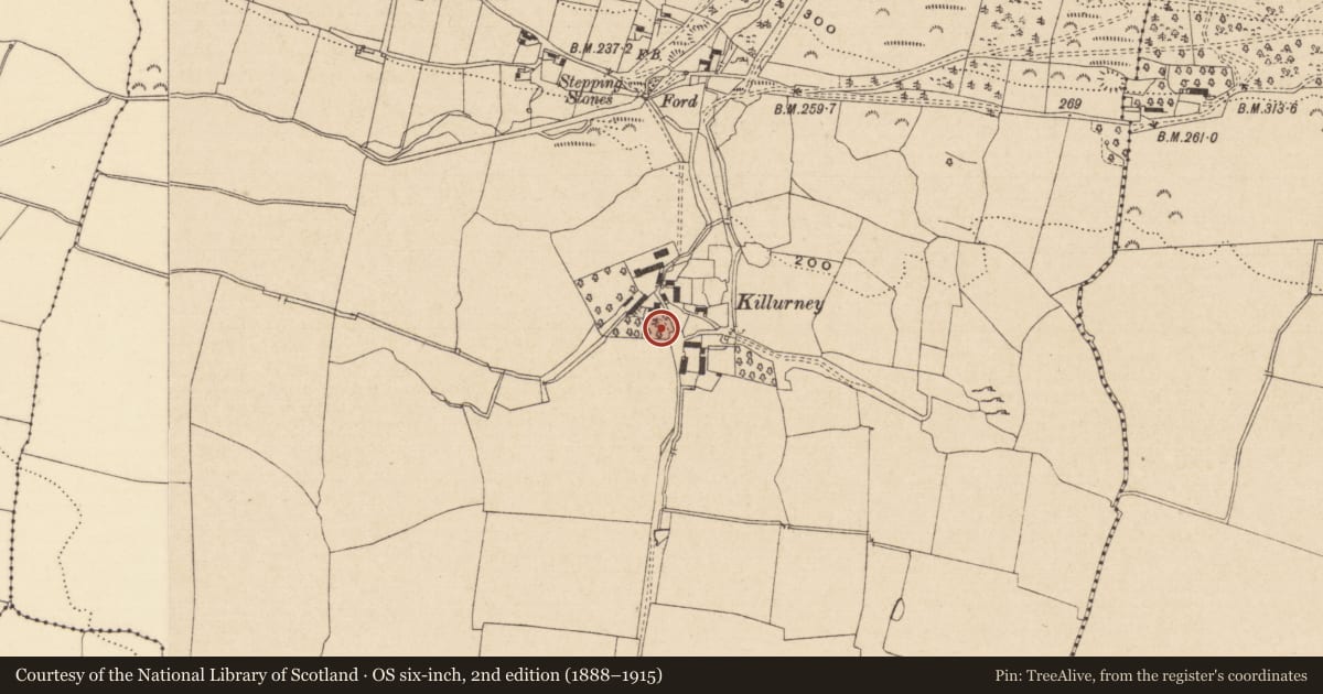Ordnance Survey six-inch map, 2nd edition (1888–1915) covering the location of Church, Killurney, County Tipperary South, with a pin at the register's coordinates