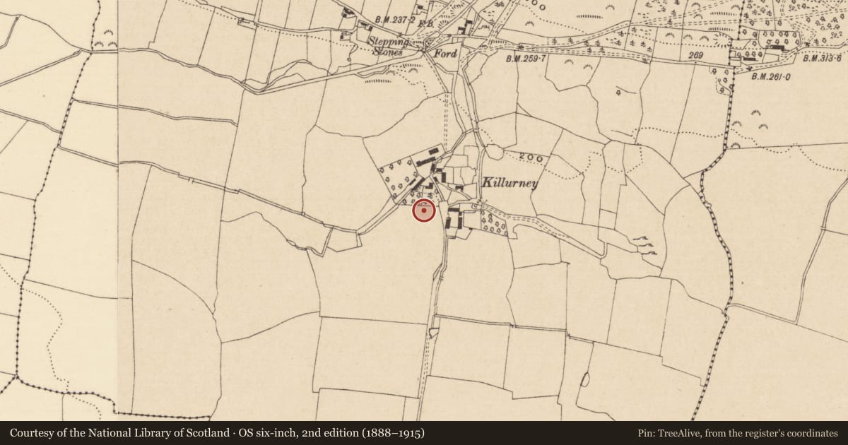 Ordnance Survey six-inch map, 2nd edition (1888–1915) covering the location of Burial ground, Killurney, County Tipperary South, with a pin at the register's coordinates