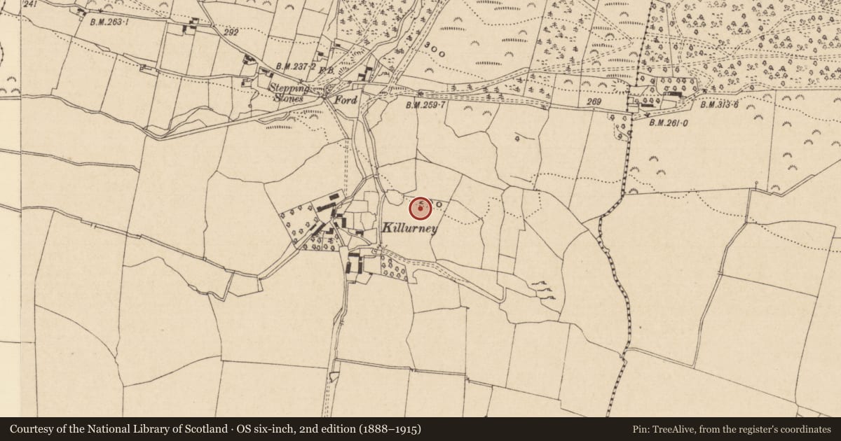 Ordnance Survey six-inch map, 2nd edition (1888–1915) covering the location of Enclosure, Killurney, County Tipperary South, with a pin at the register's coordinates