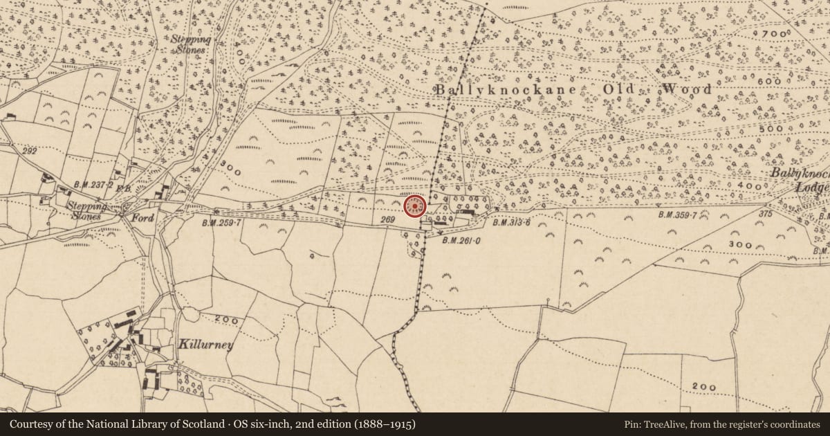 Ordnance Survey six-inch map, 2nd edition (1888–1915) covering the location of Enclosure, Killurney, County Tipperary South, with a pin at the register's coordinates
