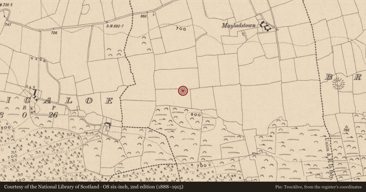 Ordnance Survey six-inch map, 2nd edition (1888–1915) covering the location of Ringfort - rath, Mayladstown, County Tipperary South, with a pin at the register's coordinates