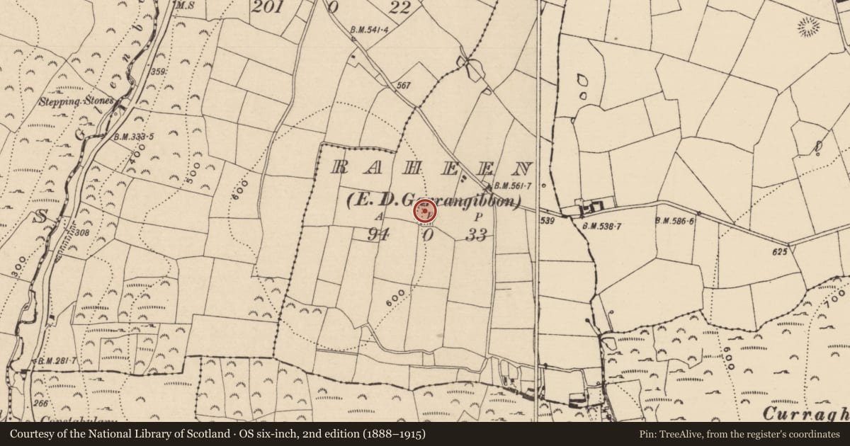 Ordnance Survey six-inch map, 2nd edition (1888–1915) covering the location of Ringfort - rath, Raheen (Garrangibbon Par.), County Tipperary South, with a pin at the register's coordinates