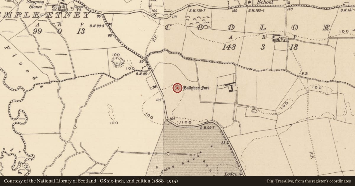 Ordnance Survey six-inch map, 2nd edition (1888–1915) covering the location of Castle - motte and bailey, Ballyboe, County Tipperary South, with a pin at the register's coordinates