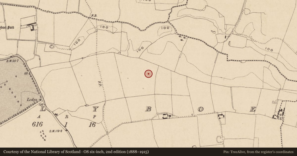 Ordnance Survey six-inch map, 2nd edition (1888–1915) covering the location of Enclosure, Ballyboe, County Tipperary South, with a pin at the register's coordinates