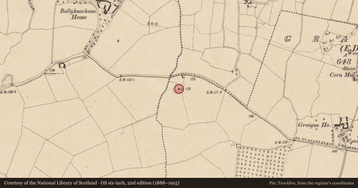 Ordnance Survey six-inch map, 2nd edition (1888–1915) covering the location of Ringfort - rath, Graigue (Temple-etney Par.), County Tipperary South, with a pin at the register's coordinates