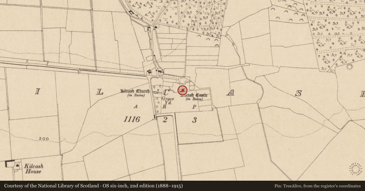 Ordnance Survey six-inch map, 2nd edition (1888–1915) covering the location of Castle - tower house, Kilcash, County Tipperary South, with a pin at the register's coordinates