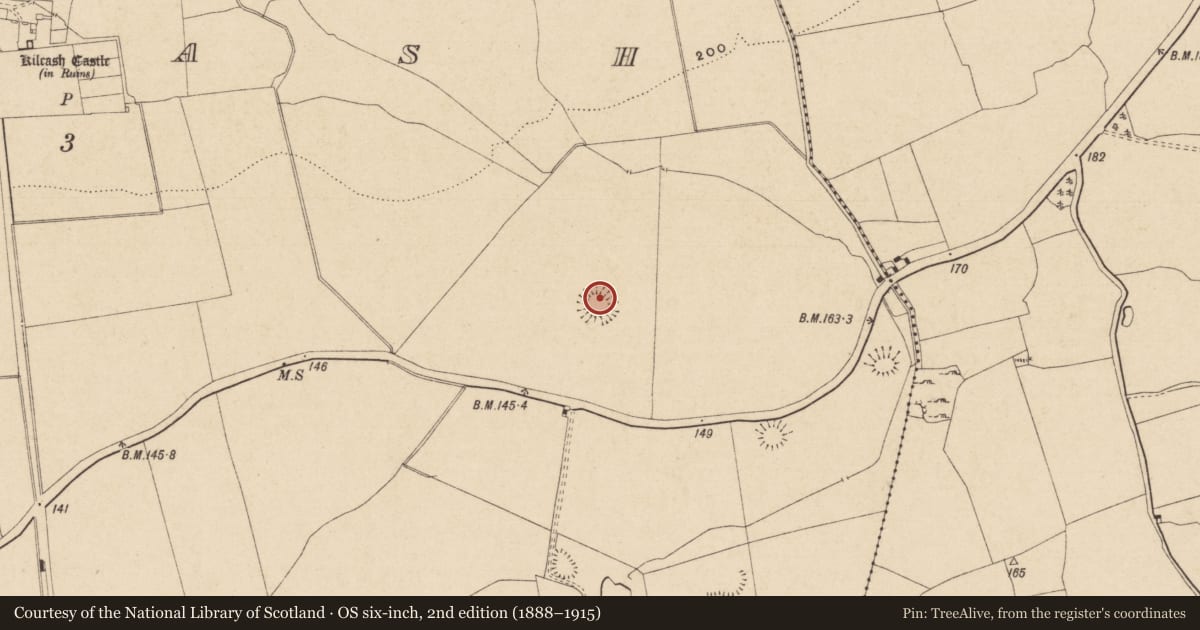 Ordnance Survey six-inch map, 2nd edition (1888–1915) covering the location of Ringfort - rath, Kilcash, County Tipperary South, with a pin at the register's coordinates