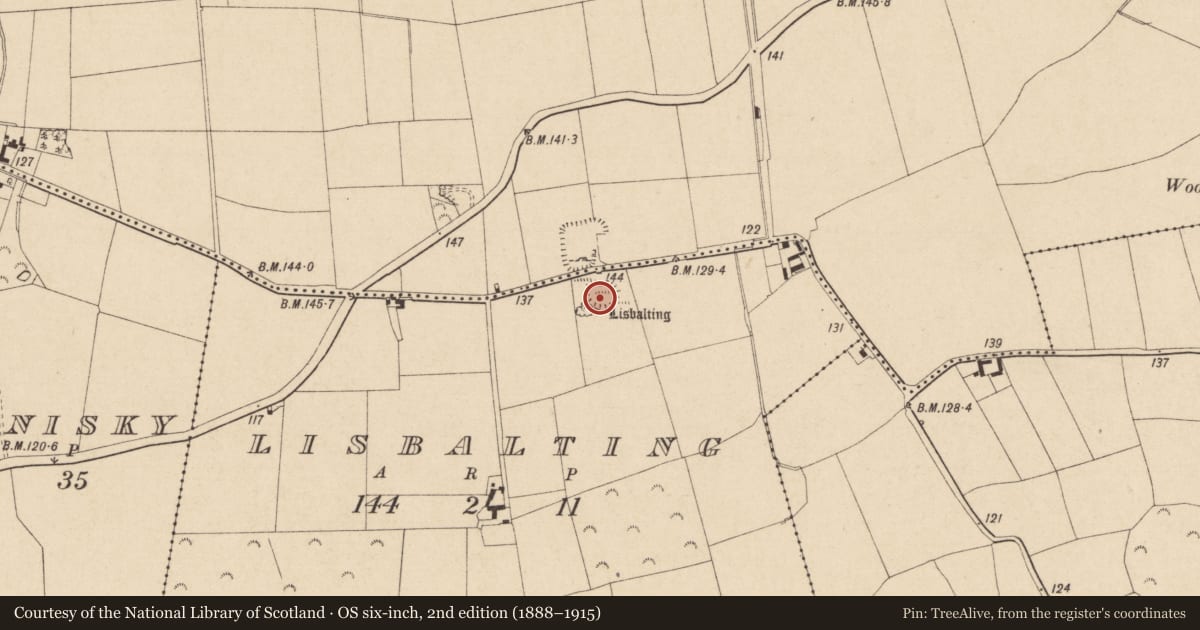 Ordnance Survey six-inch map, 2nd edition (1888–1915) covering the location of Enclosure, Lisbalting, County Tipperary South, with a pin at the register's coordinates