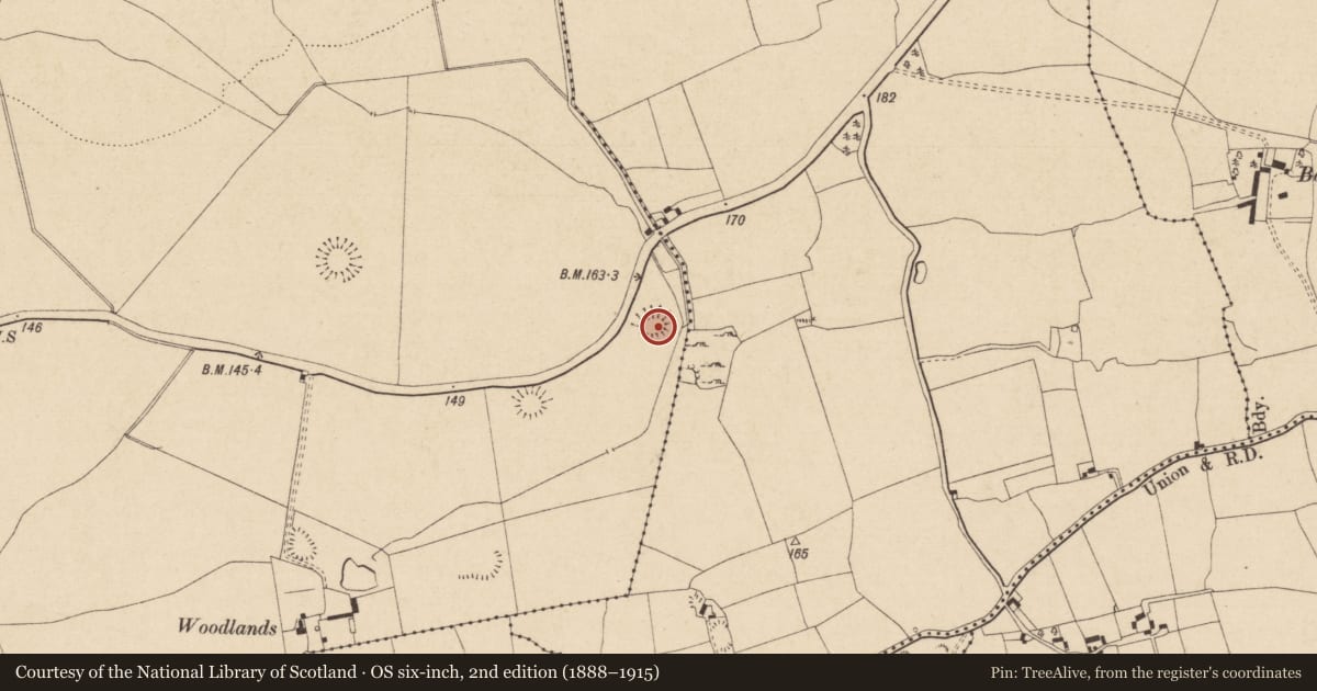 Ordnance Survey six-inch map, 2nd edition (1888–1915) covering the location of Ringfort - rath, Kilcash, County Tipperary South, with a pin at the register's coordinates