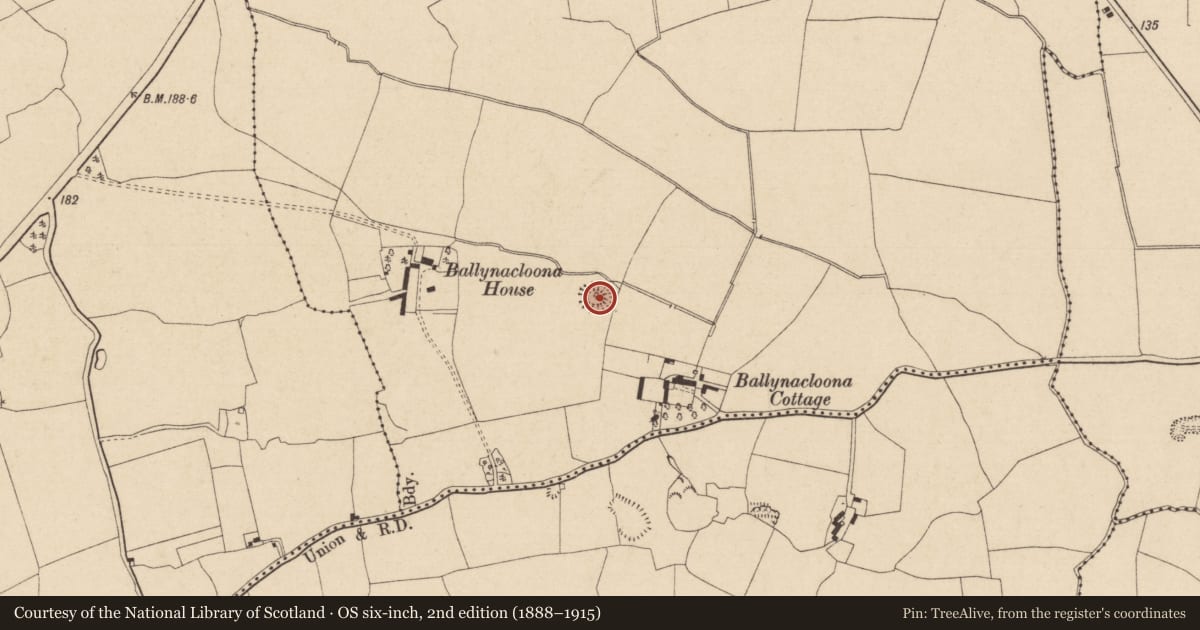 Ordnance Survey six-inch map, 2nd edition (1888–1915) covering the location of Ringfort - rath, Ballynacloona, County Tipperary South, with a pin at the register's coordinates