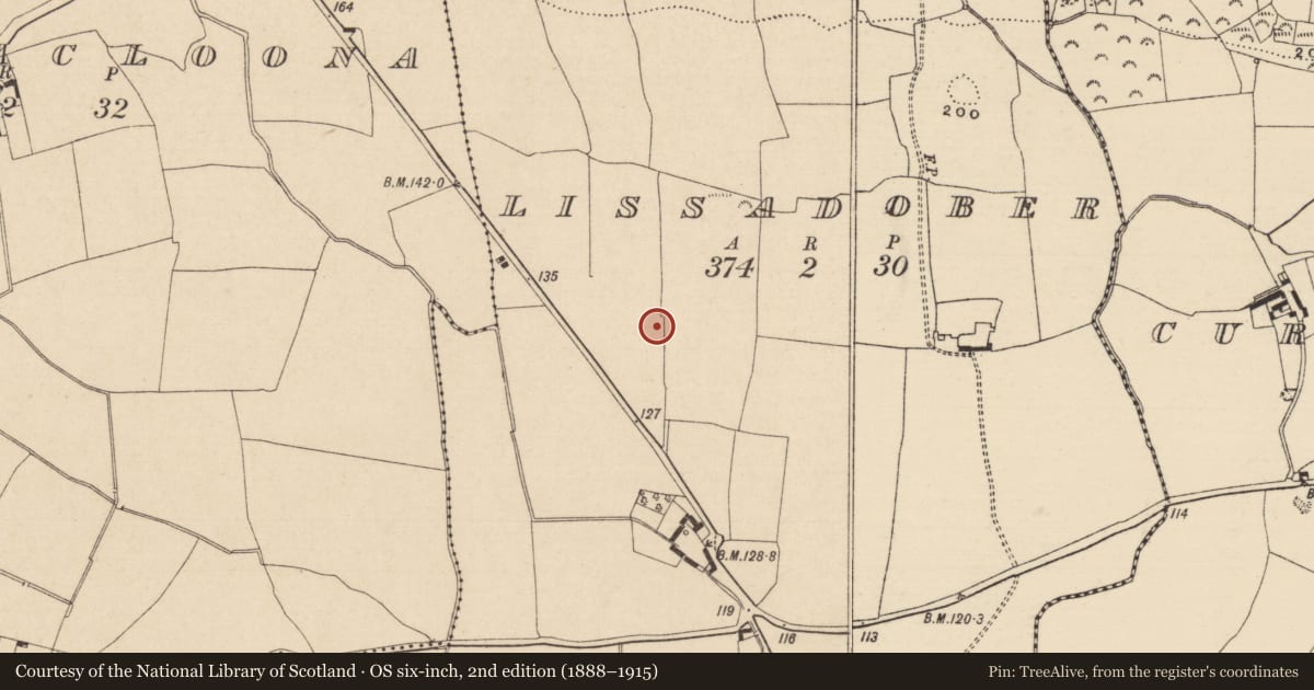 Ordnance Survey six-inch map, 2nd edition (1888–1915) covering the location of Enclosure, Lissadober, County Tipperary South, with a pin at the register's coordinates