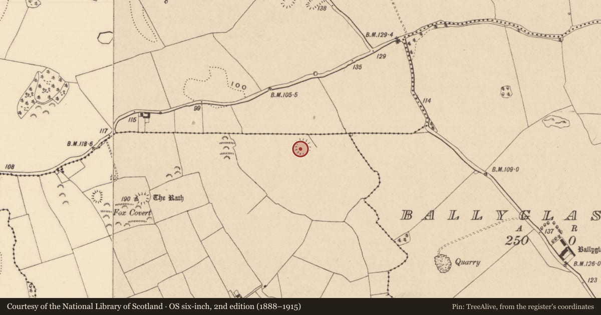 Ordnance Survey six-inch map, 2nd edition (1888–1915) covering the location of Earthwork, Ballynevin, County Tipperary South, with a pin at the register's coordinates