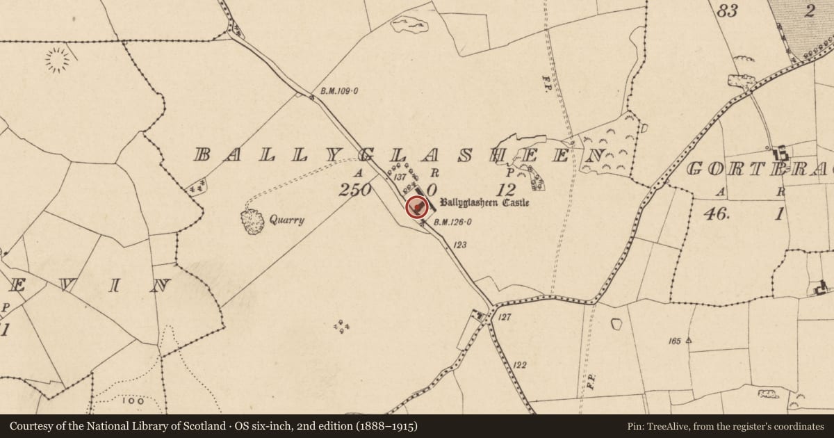 Ordnance Survey six-inch map, 2nd edition (1888–1915) covering the location of House - fortified house, Ballyglasheen (Kilsheelan Par.), County Tipperary South, with a pin at the register's coordinates