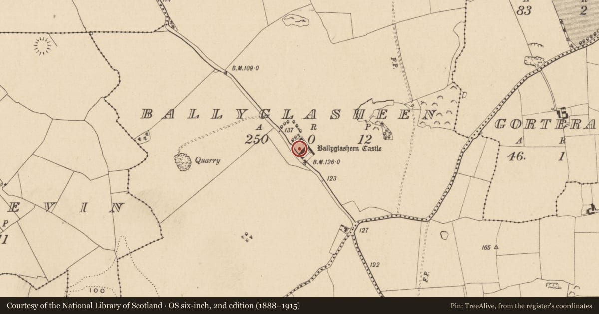 Ordnance Survey six-inch map, 2nd edition (1888–1915) covering the location of Bawn, Ballyglasheen (Kilsheelan Par.), County Tipperary South, with a pin at the register's coordinates