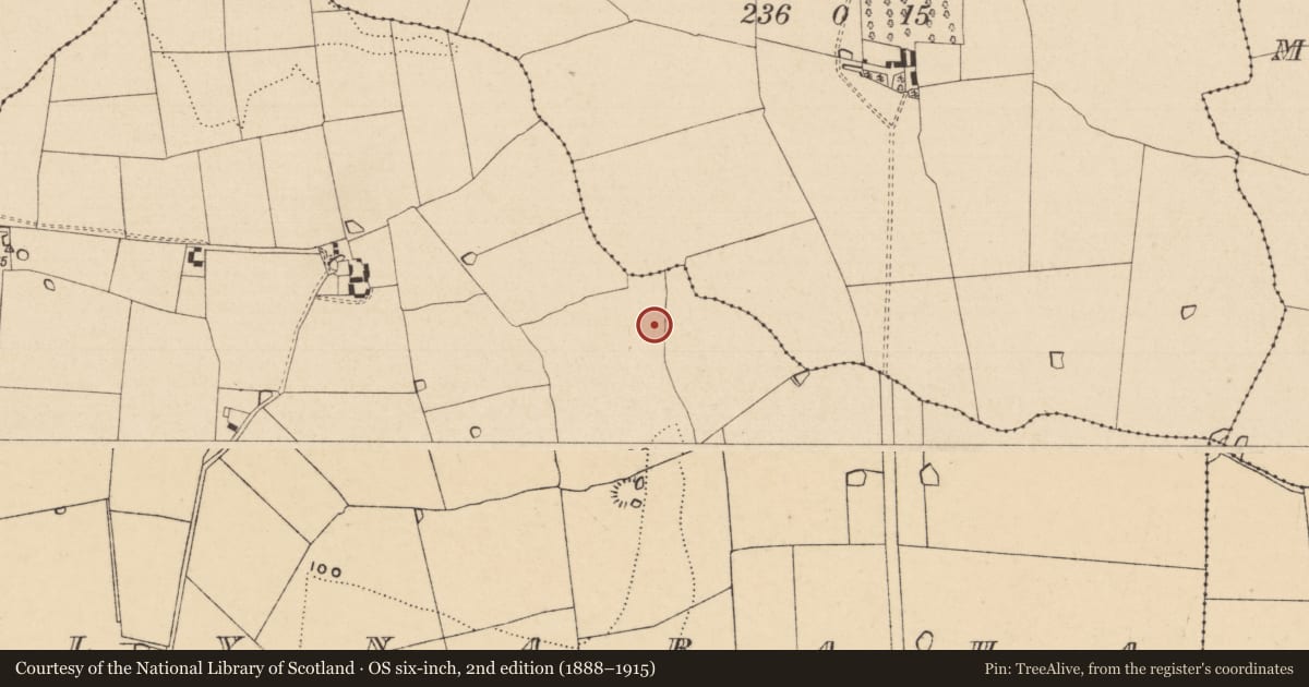 Ordnance Survey six-inch map, 2nd edition (1888–1915) covering the location of Kiln, Ballynaraha, County Tipperary South, with a pin at the register's coordinates