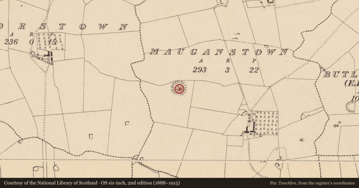 Ordnance Survey six-inch map, 2nd edition (1888–1915) covering the location of Ringfort - rath, Mauganstown, County Tipperary South, with a pin at the register's coordinates