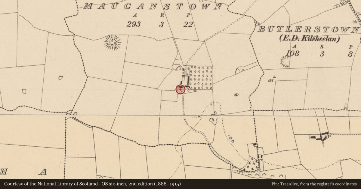 Ordnance Survey six-inch map, 2nd edition (1888–1915) covering the location of Armorial plaque, Mauganstown, County Tipperary South, with a pin at the register's coordinates