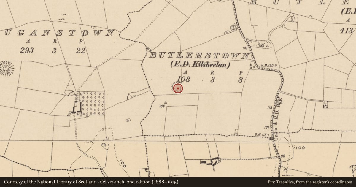 Ordnance Survey six-inch map, 2nd edition (1888–1915) covering the location of Ringfort - rath, Butlerstown (Kilsheelan Par.), County Tipperary South, with a pin at the register's coordinates