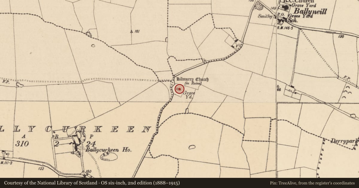 Ordnance Survey six-inch map, 2nd edition (1888–1915) covering the location of Graveslab, Ballyneill (Kilmurry Par.), County Tipperary South, with a pin at the register's coordinates