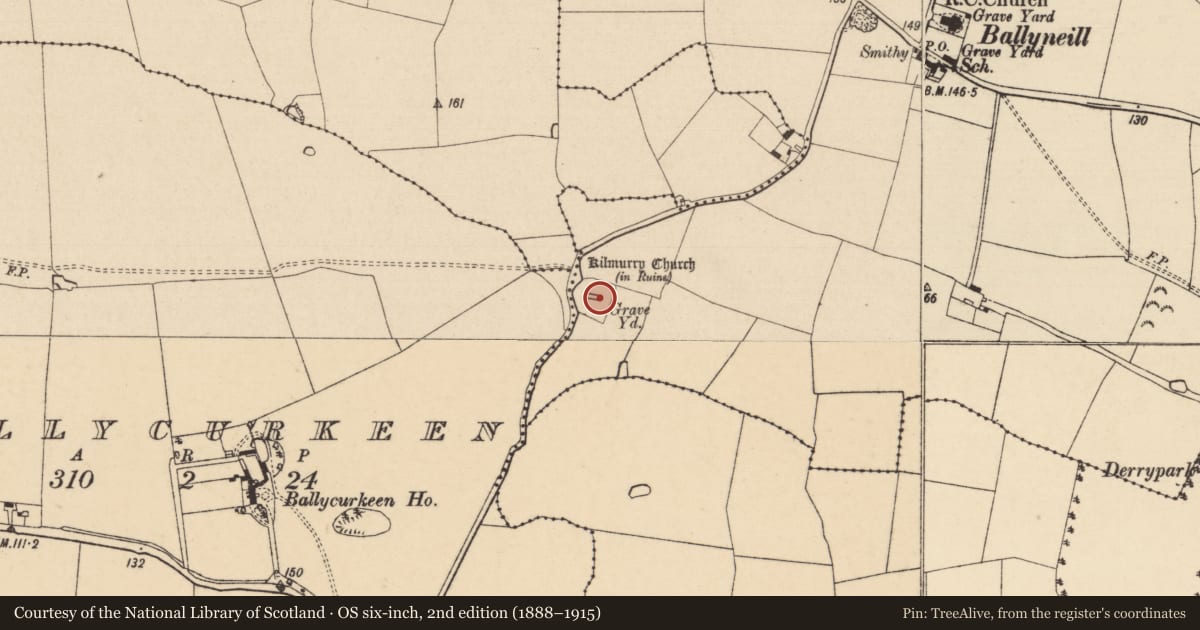 Ordnance Survey six-inch map, 2nd edition (1888–1915) covering the location of Graveslab, Ballyneill (Kilmurry Par.), County Tipperary South, with a pin at the register's coordinates