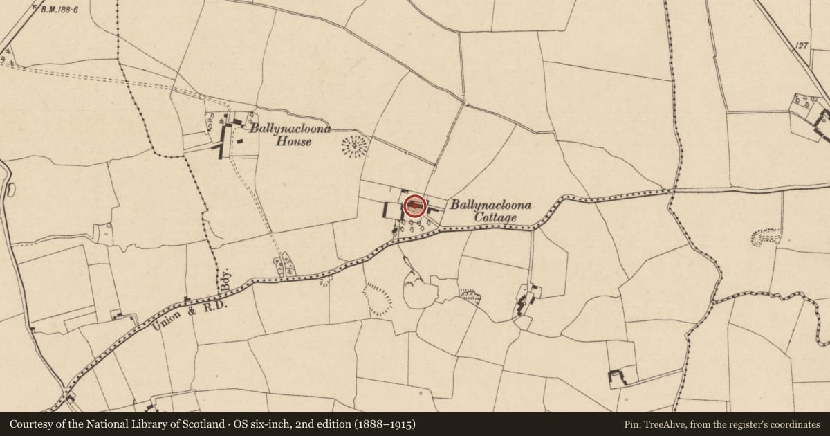 Ordnance Survey six-inch map, 2nd edition (1888–1915) covering the location of House - 17th century, Ballynacloona, County Tipperary South, with a pin at the register's coordinates