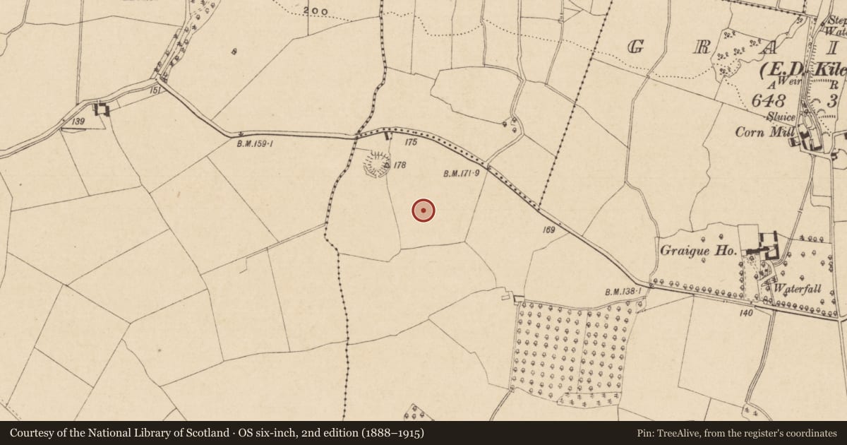 Ordnance Survey six-inch map, 2nd edition (1888–1915) covering the location of Moated site, Graigue (Temple-etney Par.), County Tipperary South, with a pin at the register's coordinates