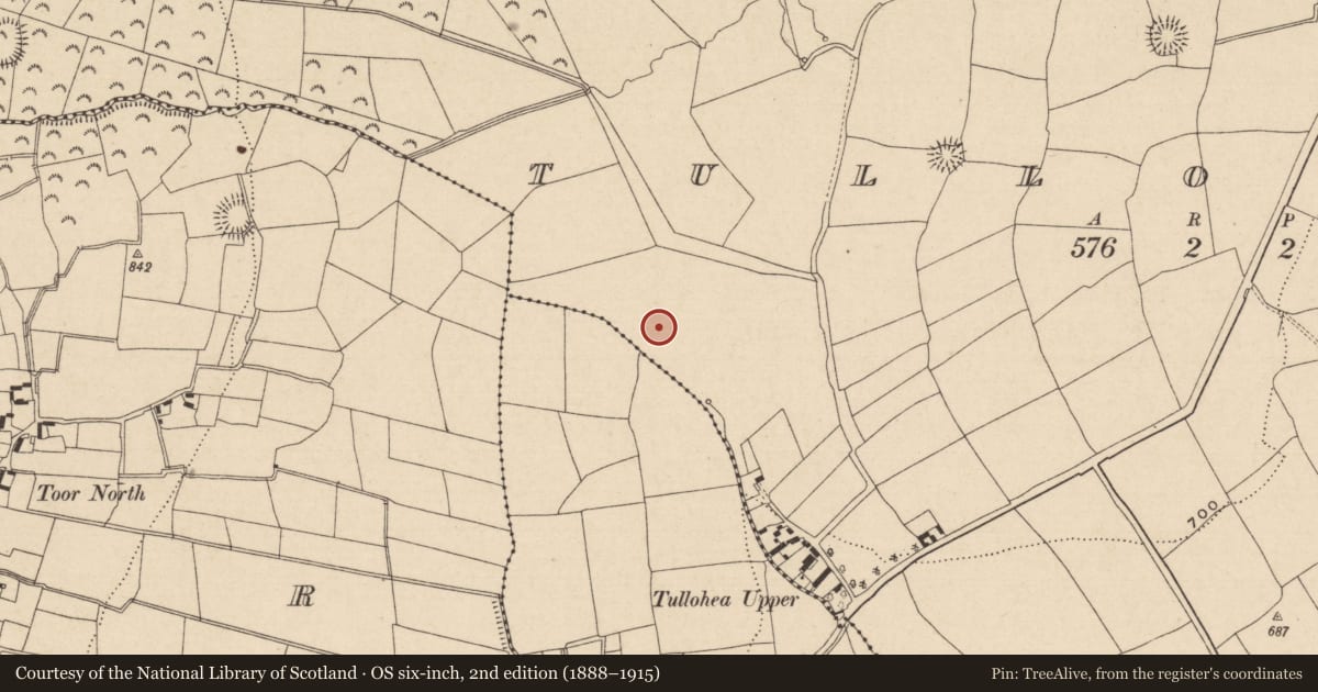 Ordnance Survey six-inch map, 2nd edition (1888–1915) covering the location of Enclosure, Tullohea, County Tipperary South, with a pin at the register's coordinates