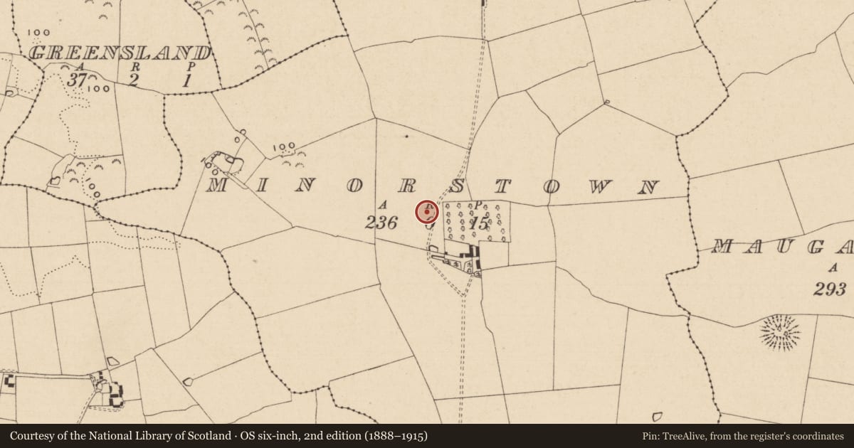Ordnance Survey six-inch map, 2nd edition (1888–1915) covering the location of Enclosure, Minorstown, County Tipperary South, with a pin at the register's coordinates