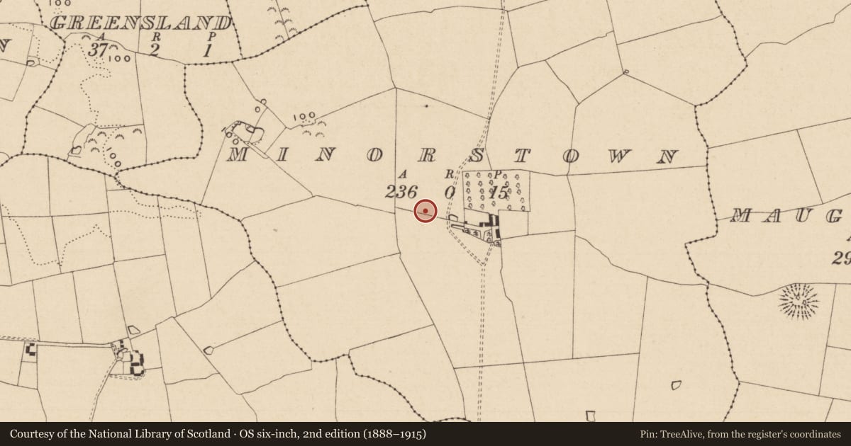 Ordnance Survey six-inch map, 2nd edition (1888–1915) covering the location of Enclosure, Minorstown, County Tipperary South, with a pin at the register's coordinates