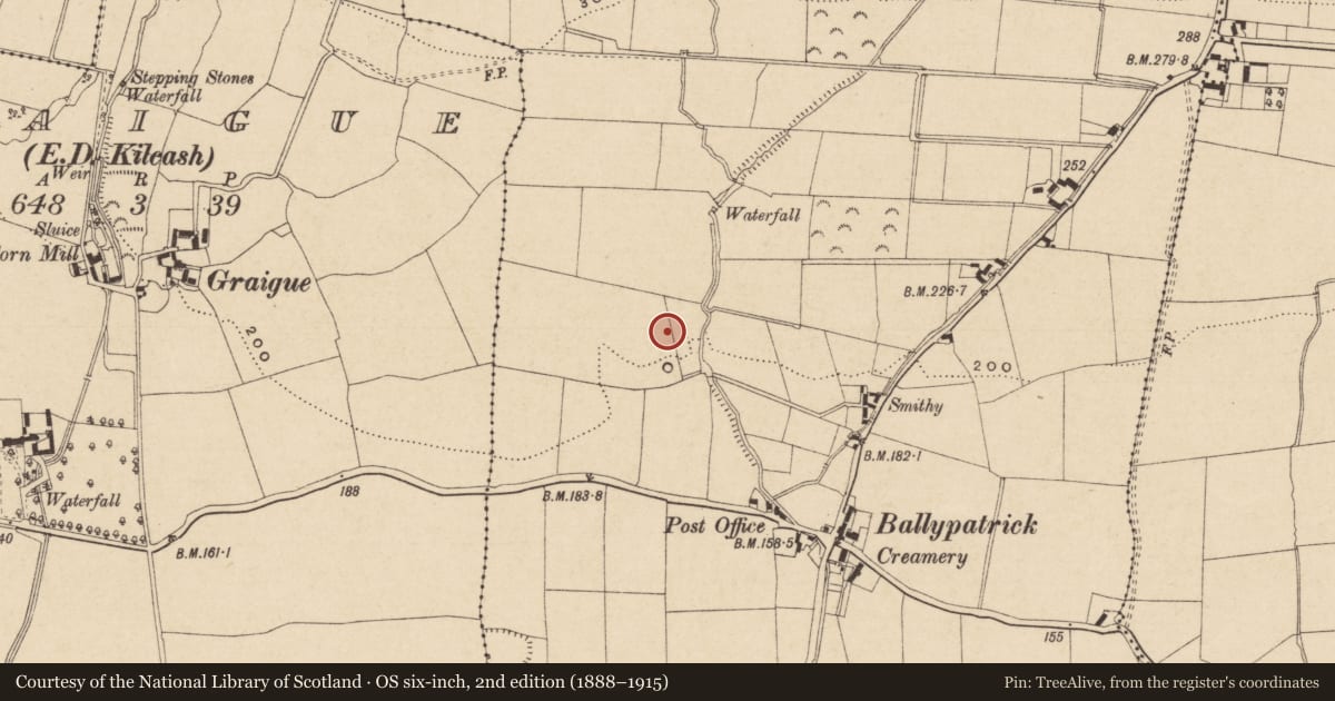 Ordnance Survey six-inch map, 2nd edition (1888–1915) covering the location of Mass-rock, Ballypatrick (Temple-etney Par.), County Tipperary South, with a pin at the register's coordinates