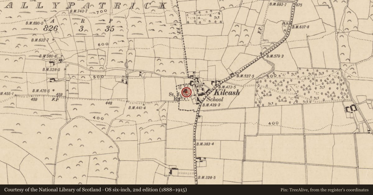 Ordnance Survey six-inch map, 2nd edition (1888–1915) covering the location of Font (present location), Toor (Kilcash Par.), County Tipperary South, with a pin at the register's coordinates
