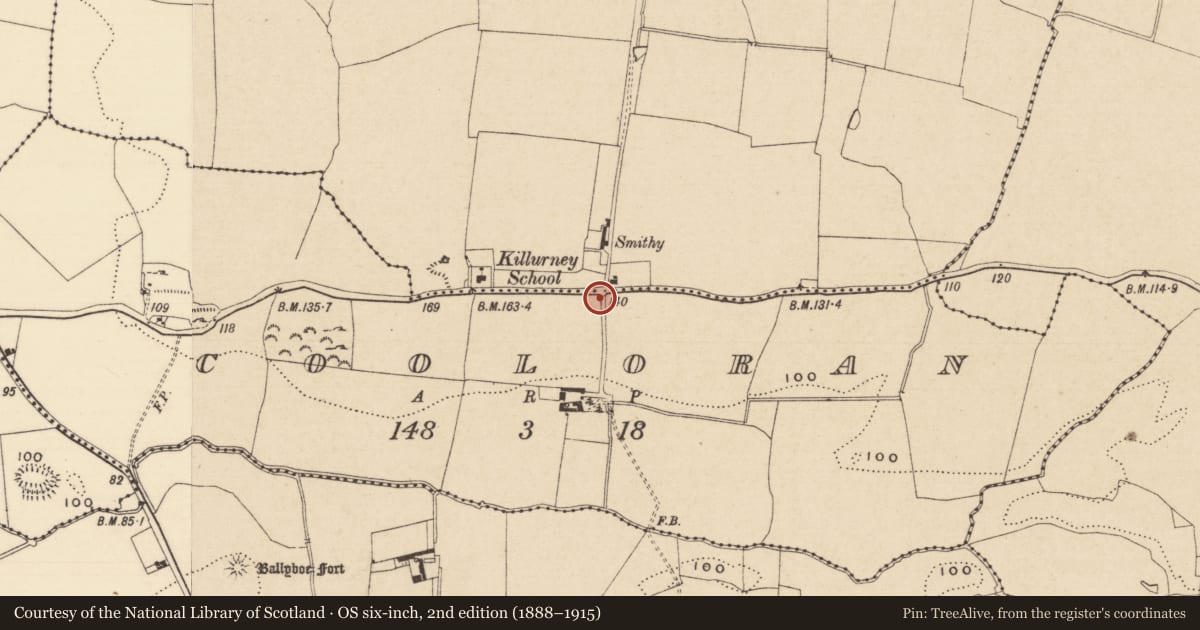 Ordnance Survey six-inch map, 2nd edition (1888–1915) covering the location of Memorial stone, Cooloran, County Tipperary South, with a pin at the register's coordinates