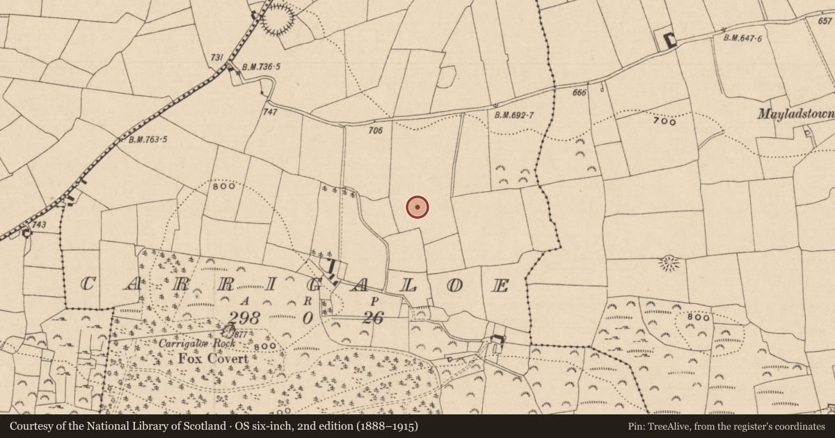 Ordnance Survey six-inch map, 2nd edition (1888–1915) covering the location of Standing stone, Carrigaloe, County Tipperary South, with a pin at the register's coordinates