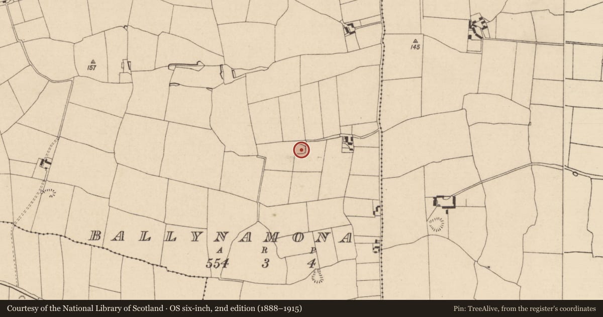 Ordnance Survey six-inch map, 2nd edition (1888–1915) covering the location of Enclosure, Ballynamona (Kilmurry Par.), County Tipperary South, with a pin at the register's coordinates